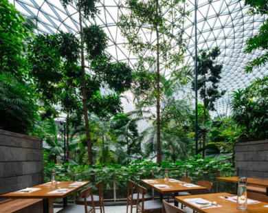 Từ Singapore đến thế giới: Hành trình Gwangjang GAON lan tỏa hương vị Hàn Quốc nguyên bản