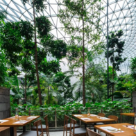 Từ Singapore đến thế giới: Hành trình Gwangjang GAON lan tỏa hương vị Hàn Quốc nguyên bản