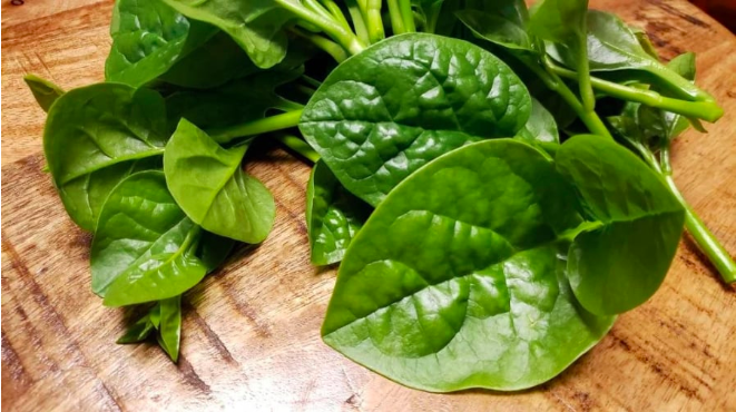 5 nhóm người không nên ăn rau mồng tơi
